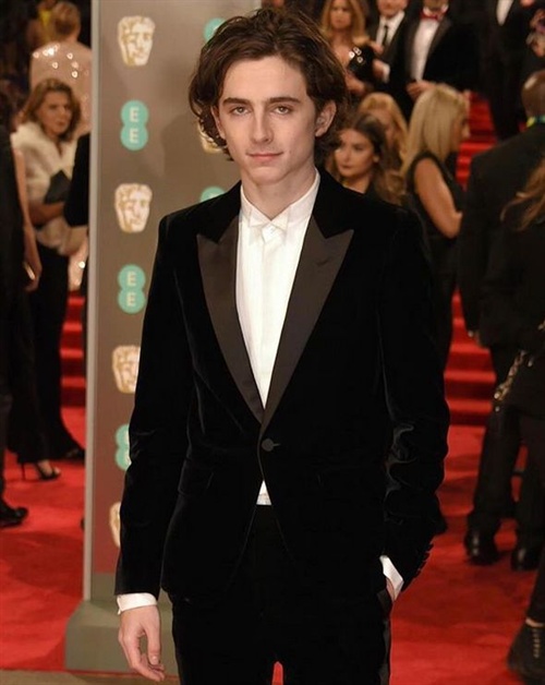 Timothee Chalamet in Saint Laurent